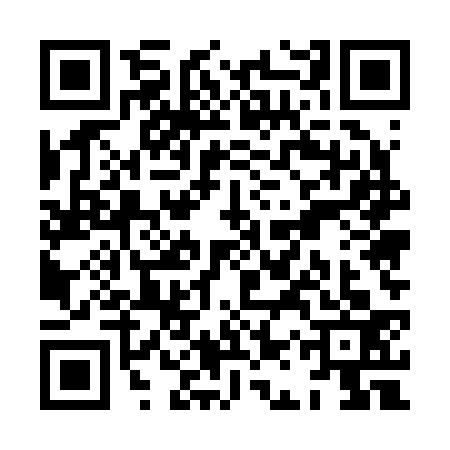QR code for XAU2334