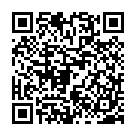 QR code for XBJ0579