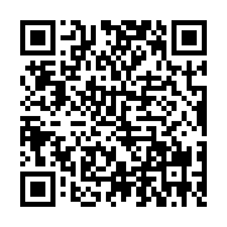 QR code for XDE1394