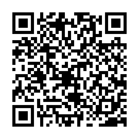 QR code for XDT2119
