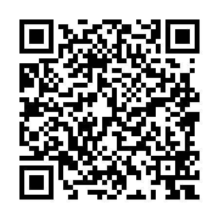 QR code for XDX3994