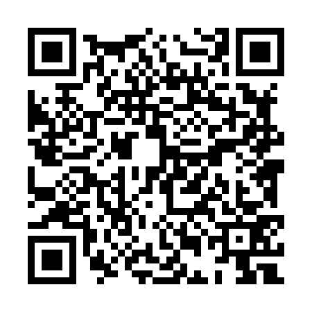 QR code for XEL8733