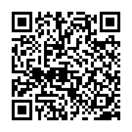 QR code for XFQ2295