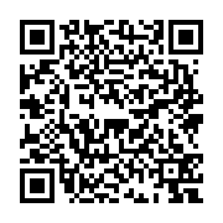 QR code for XGI6335
