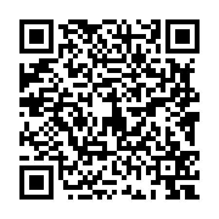 QR code for XGL8377