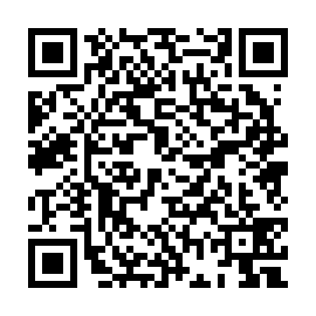 QR code for XGP2393