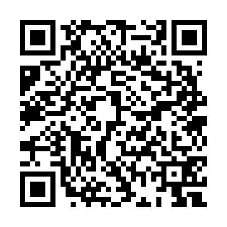 QR code for XGS6729