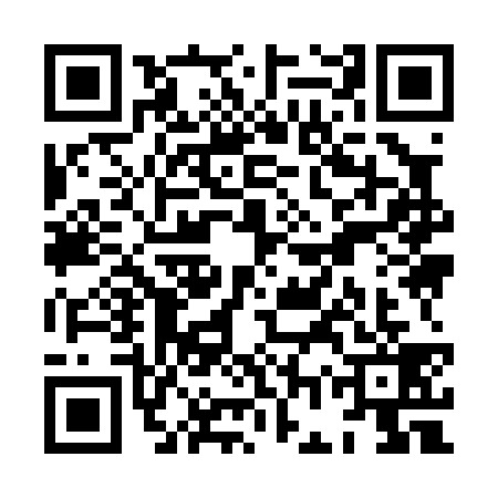 QR code for XGY0392