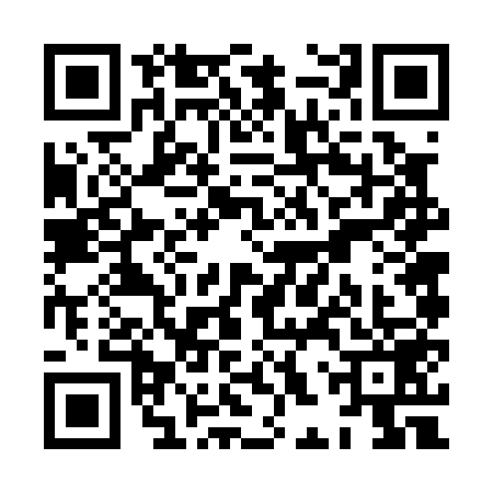 QR code for XHV0599