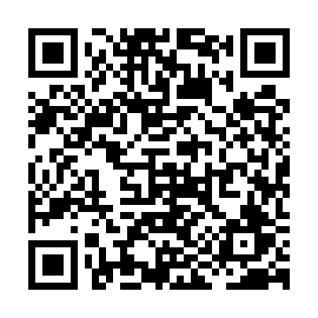 QR code for XI95RV