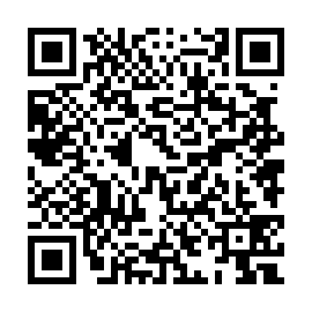 QR code for XIN0398