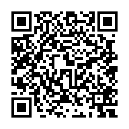 QR code for XIP0091