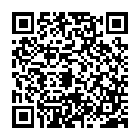 QR code for XJI2466