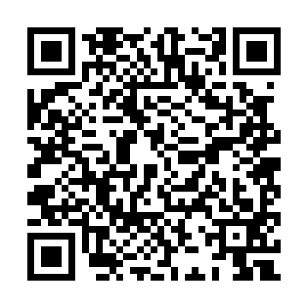 QR code for XJR0939