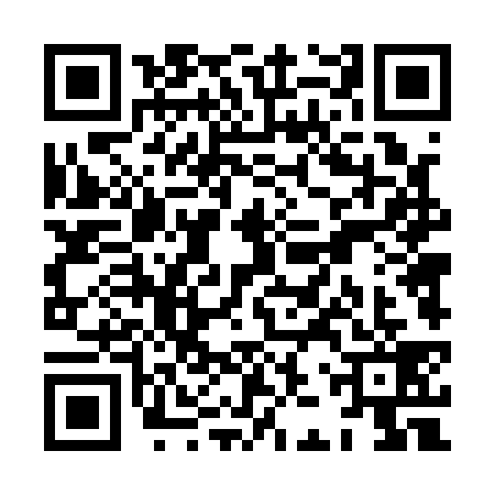 QR code for XJT1393