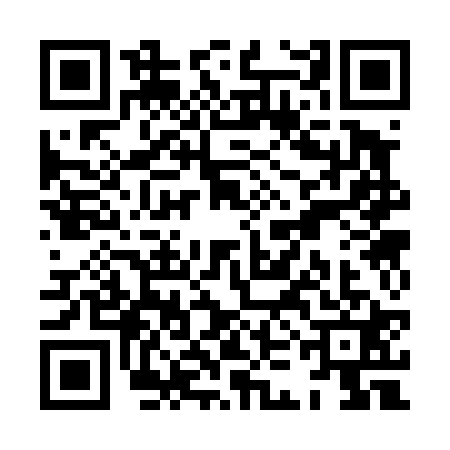 QR code for XKC4217