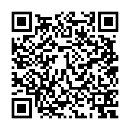 QR code for XKC4729