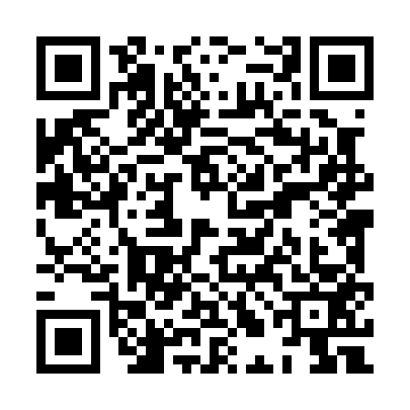 QR code for XLL0534