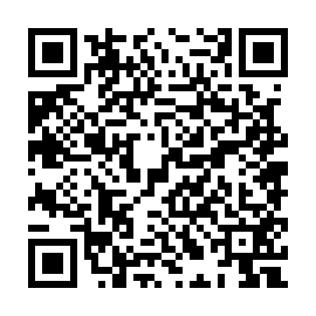 QR code for XLN1529