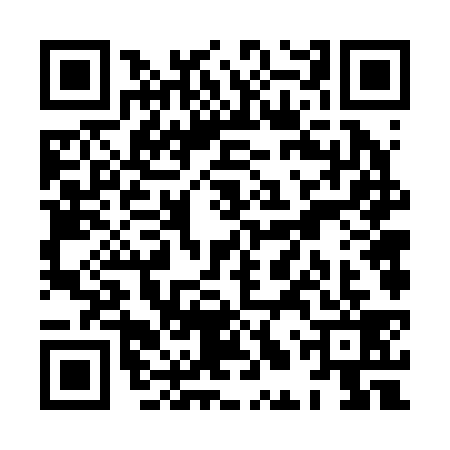 QR code for XLV2397