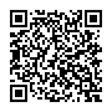 QR code for XQ17IN