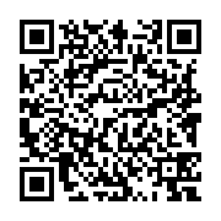 QR code for XQL9384
