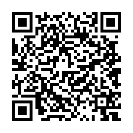QR code for XST0249