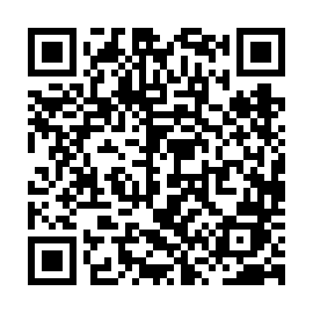 QR code for XV06DJ