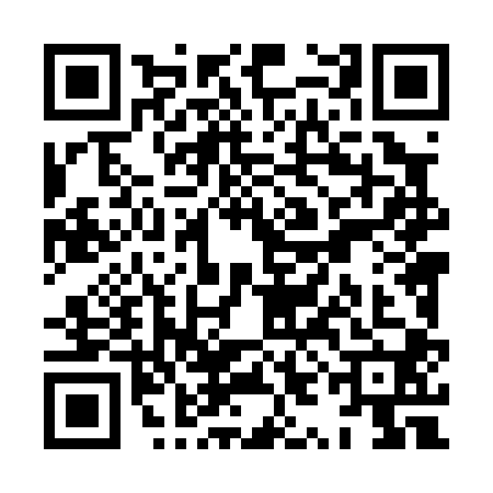 QR code for XYL0003