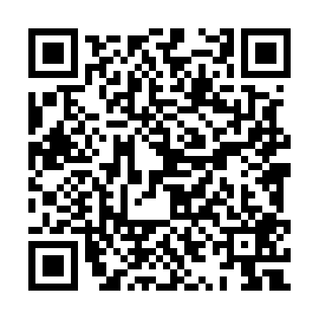 QR code for XYL5095