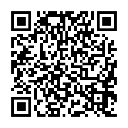 QR code for XYS0538