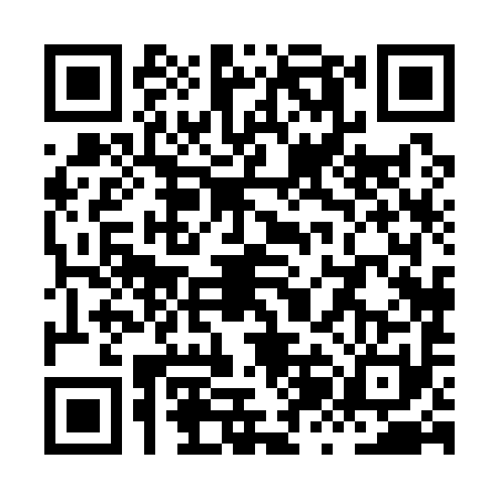 QR code for XZH1919