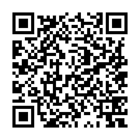 QR code for XZJ9791