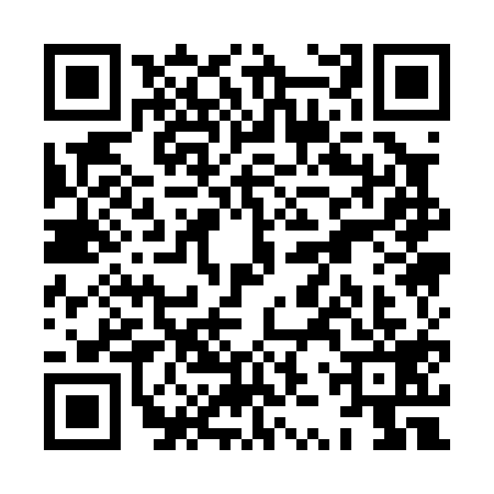 QR code for XZQ0196