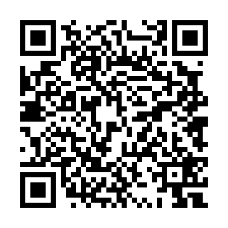 QR code for XZT0293
