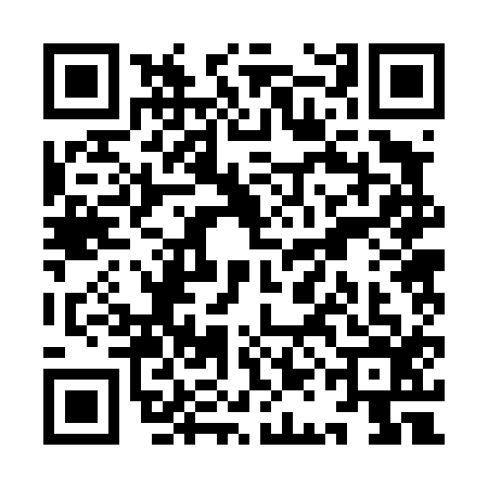 QR code for YAB4163