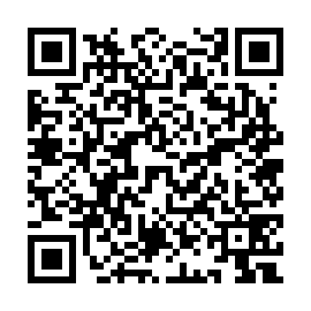 QR code for YAG2795