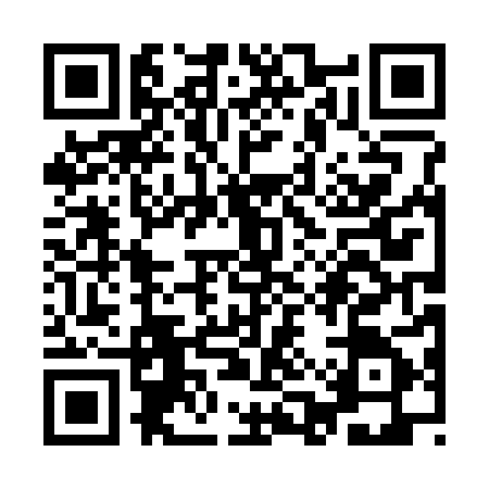 QR code for YAP3858