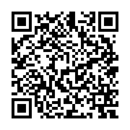 QR code for YAQ6653