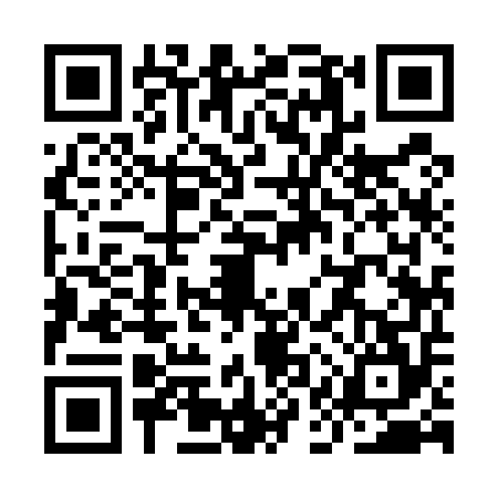 QR code for YAY5541