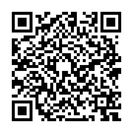 QR code for YAY6249