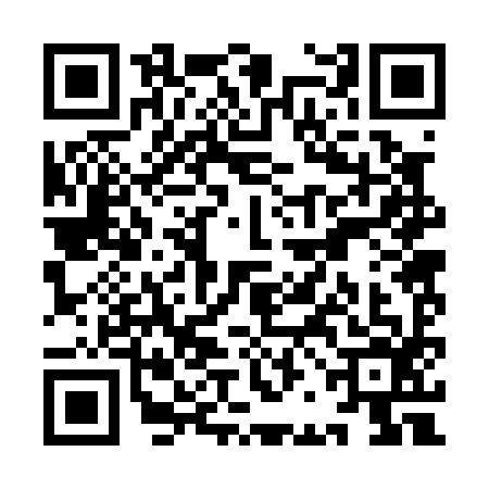 QR code for YBB0969