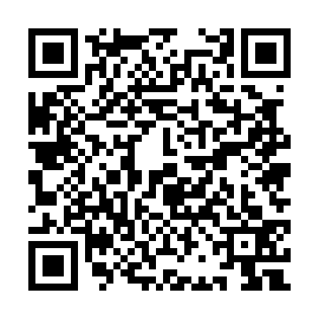 QR code for YBE0338