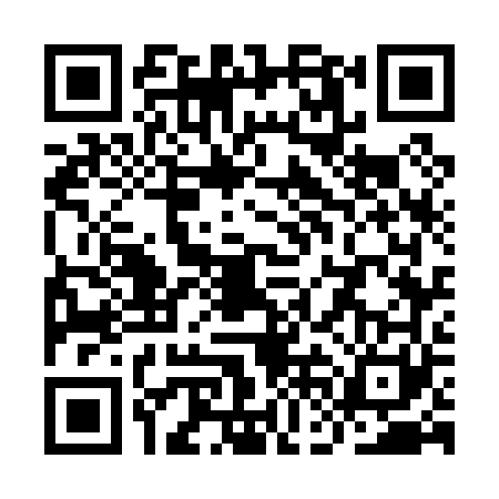 QR code for YFG0617