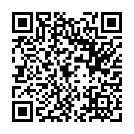 QR code for YID0313