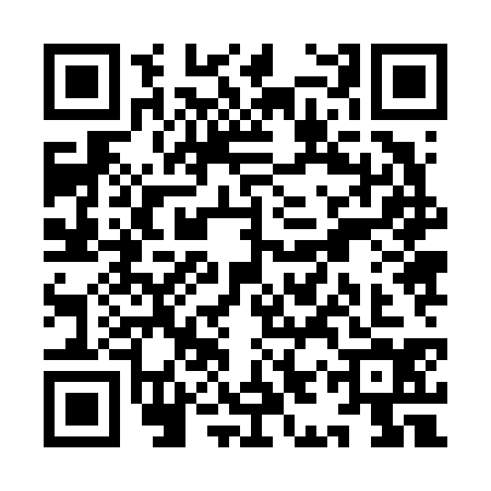 QR code for YIZ6346