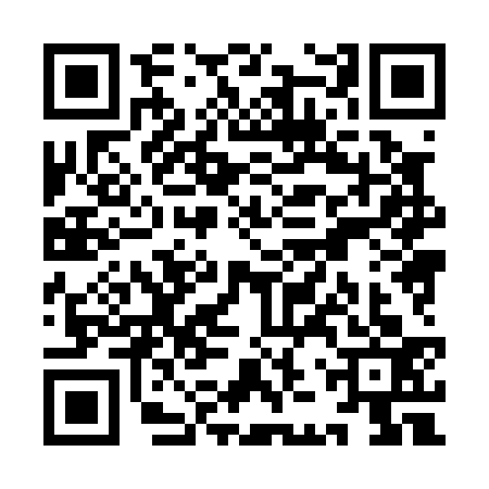QR code for YJX0339
