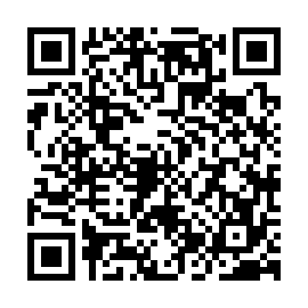 QR code for YJX3767