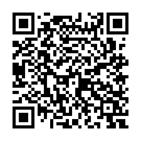 QR code for YL11LV