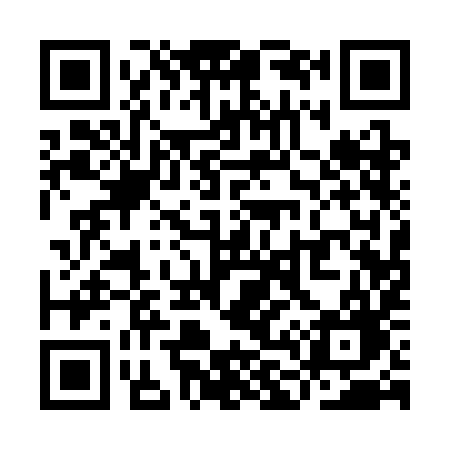 QR code for YL13IG